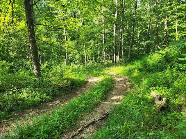 5855 Olney Run Rd, Mcconnelsville, OH 43756 - photo 1