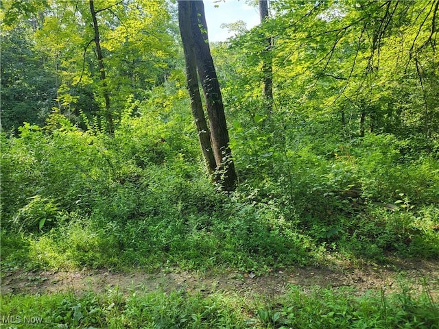 5855 Olney Run Rd, Mcconnelsville, OH 43756 - photo 2