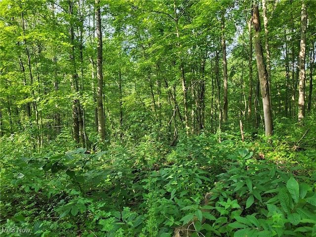 5855 Olney Run Rd, Mcconnelsville, OH 43756 - photo 4