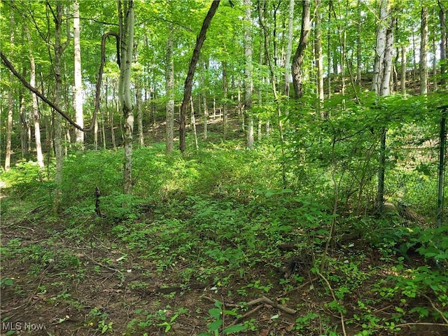 5855 Olney Run Rd, Mcconnelsville, OH 43756 - photo 6