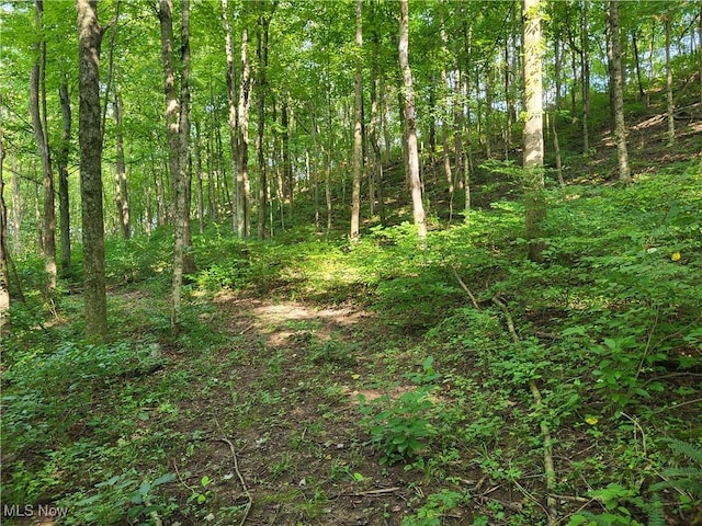 5855 Olney Run Rd, Mcconnelsville, OH 43756 - photo 7