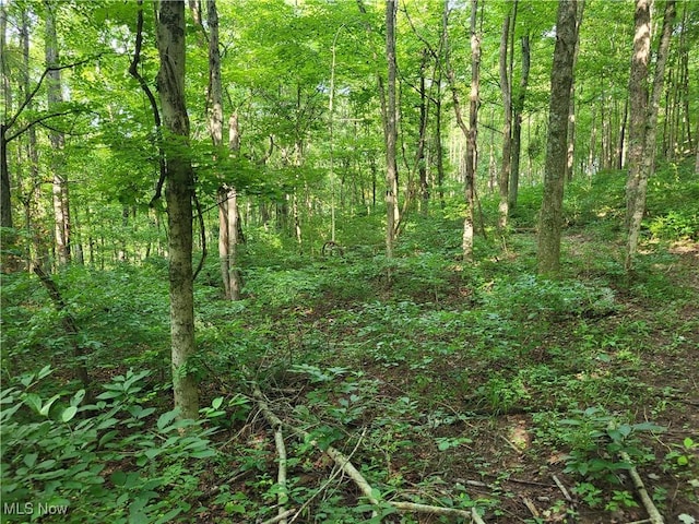 5855 Olney Run Rd, Mcconnelsville, OH 43756 - photo 8