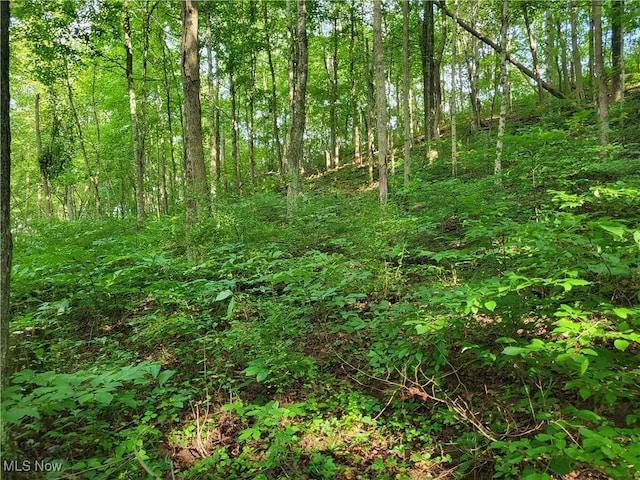 5855 Olney Run Rd, Mcconnelsville, OH 43756 - photo 9