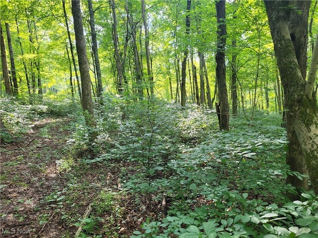 5855 Olney Run Rd, Mcconnelsville, OH 43756 - photo 11