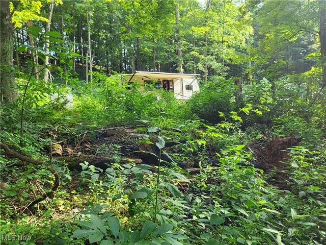 5855 Olney Run Rd, Mcconnelsville, OH 43756 - photo 14