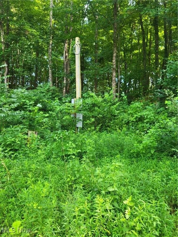 5855 Olney Run Rd, Mcconnelsville, OH 43756 - photo 16