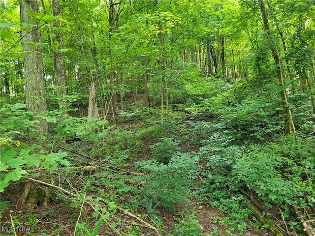 5855 Olney Run Rd, Mcconnelsville, OH 43756 - photo 17