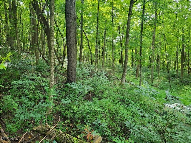 5855 Olney Run Rd, Mcconnelsville, OH 43756 - photo 18
