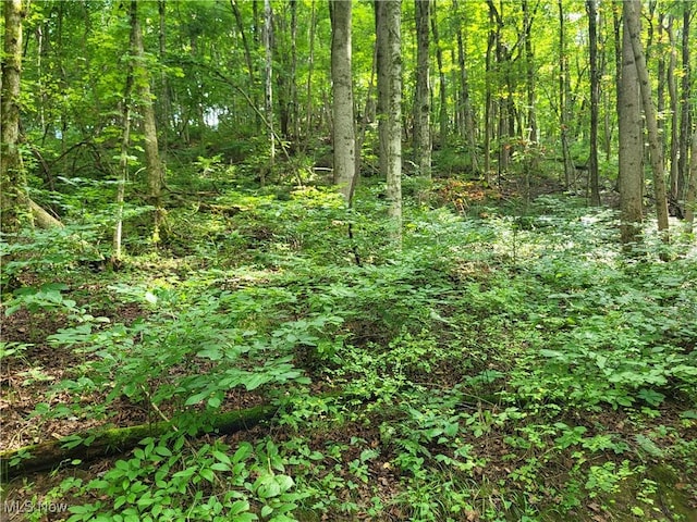 5855 Olney Run Rd, Mcconnelsville, OH 43756 - photo 20