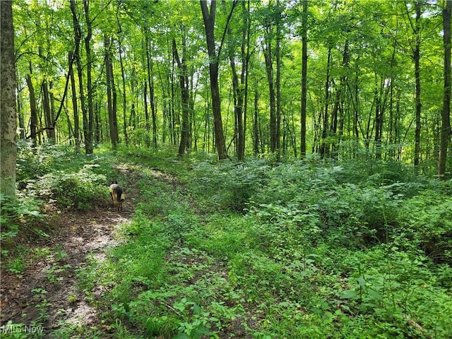 5855 Olney Run Rd, Mcconnelsville, OH 43756 - photo 21