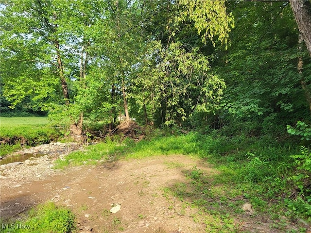 5855 Olney Run Rd, Mcconnelsville, OH 43756 - photo 46