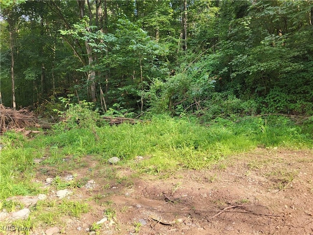 5855 Olney Run Rd, Mcconnelsville, OH 43756 - photo 47