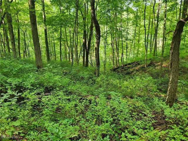5855 Olney Run Rd, Mcconnelsville, OH 43756 - photo 22