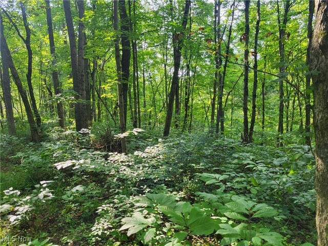 5855 Olney Run Rd, Mcconnelsville, OH 43756 - photo 23