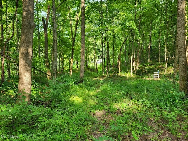5855 Olney Run Rd, Mcconnelsville, OH 43756 - photo 24