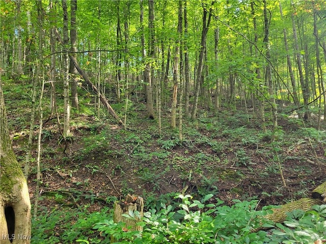 5855 Olney Run Rd, Mcconnelsville, OH 43756 - photo 25