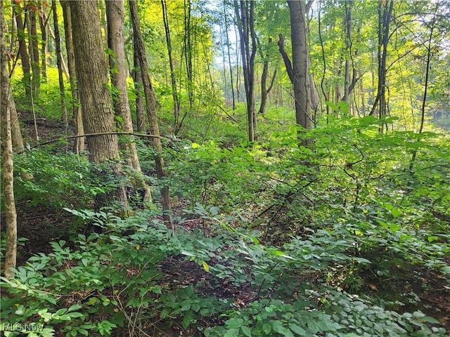 5855 Olney Run Rd, Mcconnelsville, OH 43756 - photo 26