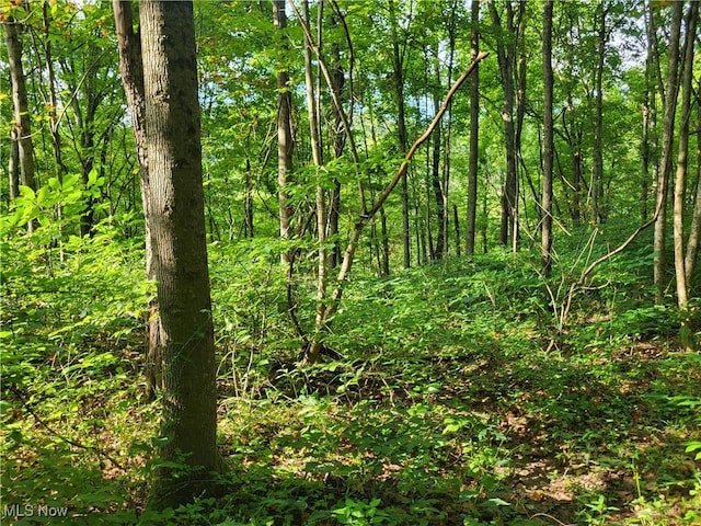5855 Olney Run Rd, Mcconnelsville, OH 43756 - photo 27