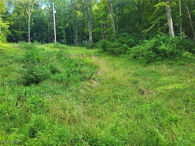 5855 Olney Run Rd, Mcconnelsville, OH 43756 - photo 38