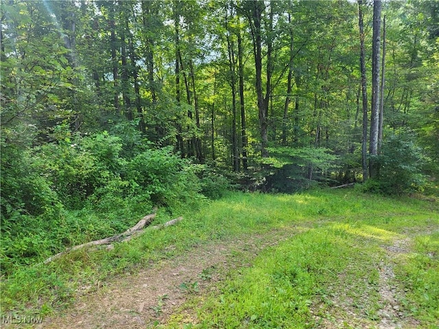 5855 Olney Run Rd, Mcconnelsville, OH 43756 - photo 39