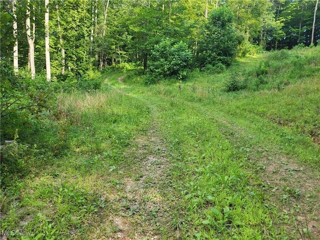5855 Olney Run Rd, Mcconnelsville, OH 43756 - photo 40