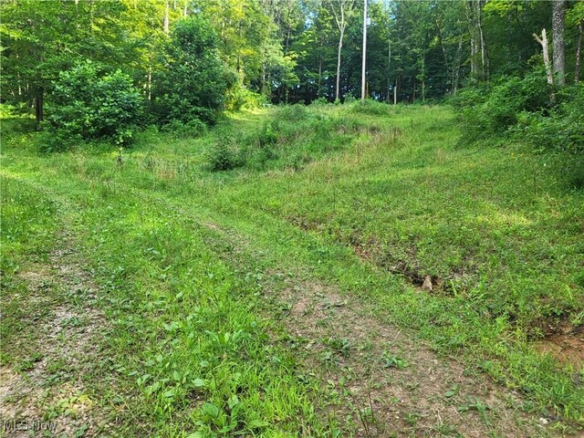 5855 Olney Run Rd, Mcconnelsville, OH 43756 - photo 41