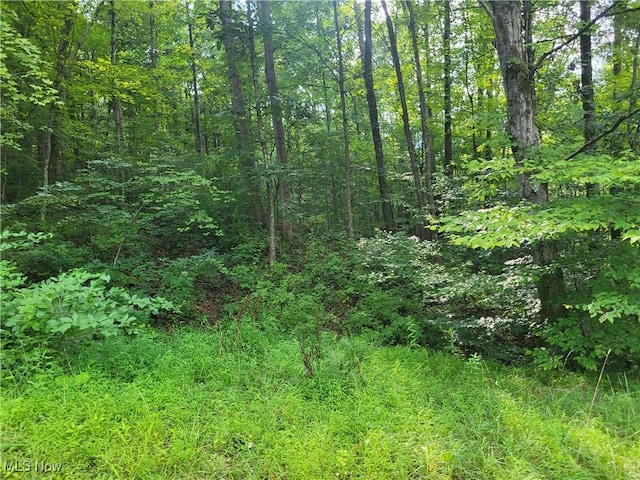 5855 Olney Run Rd, Mcconnelsville, OH 43756 - photo 42