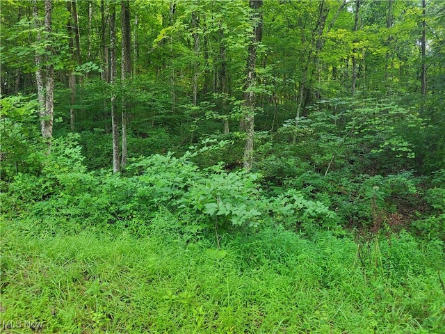 5855 Olney Run Rd, Mcconnelsville, OH 43756 - photo 43