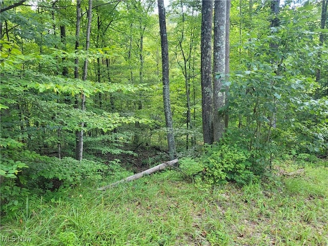 5855 Olney Run Rd, Mcconnelsville, OH 43756 - photo 44