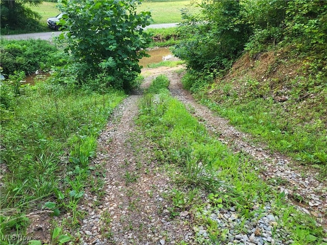 5855 Olney Run Rd, Mcconnelsville, OH 43756 - photo 45