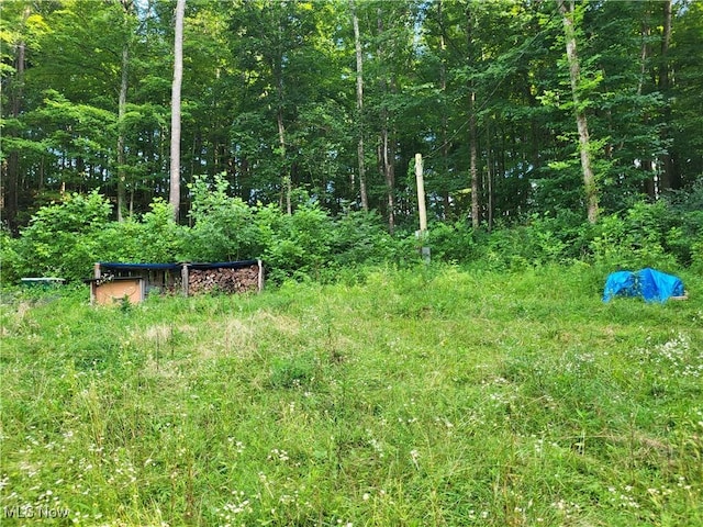 5855 Olney Run Rd, Mcconnelsville, OH 43756 - photo 32