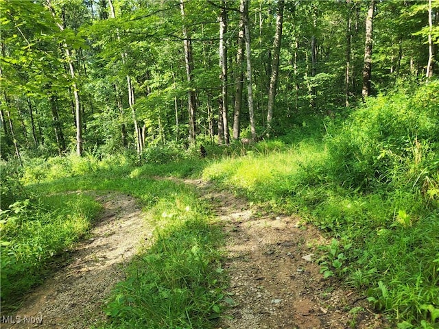 5855 Olney Run Rd, Mcconnelsville, OH 43756 - photo 34