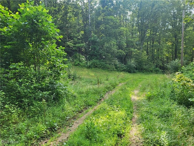 5855 Olney Run Rd, Mcconnelsville, OH 43756 - photo 37