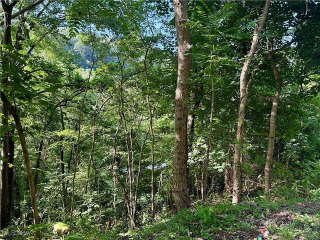 TBD Fairview Rd, Chester, WV 26034 - photo 2