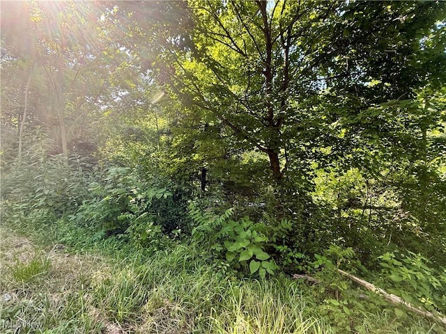 TBD Fairview Rd, Chester, WV 26034 - photo 3