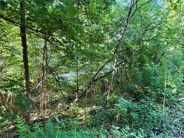 TBD Fairview Rd, Chester, WV 26034 - photo 4
