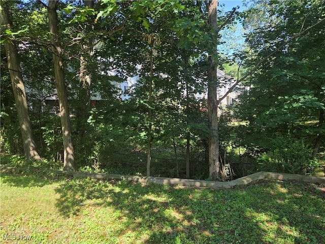 565 Quilliams Rd, South Euclid, OH 44121 - photo 28