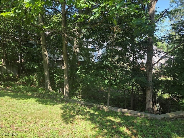565 Quilliams Rd, South Euclid, OH 44121 - photo 29