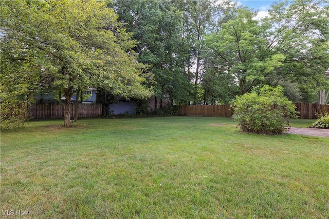 35868 Laurel Cir N, Ridgeville, OH 44039 - photo 36