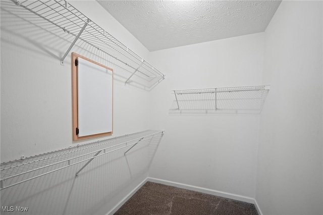 1146 N Jefferson St Unit D, Medina, OH 44256 - photo 31