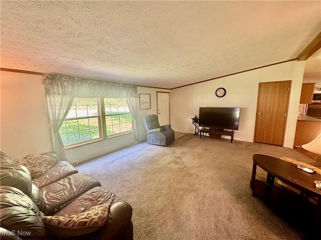 3264 Simpson Rd SE, Dennison, OH 44621 - photo 5