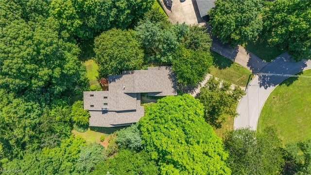 2453 Ridgeview Ln, Poland, OH 44514 - photo 40