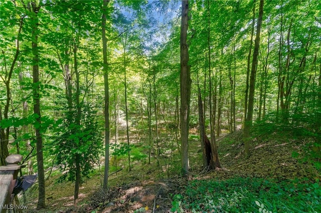 2453 Ridgeview Ln, Poland, OH 44514 - photo 44