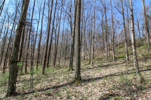 59915 Craig Rd, Cambridge, OH 43725 - photo 40