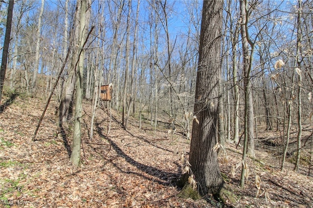 59915 Craig Rd, Cambridge, OH 43725 - photo 43