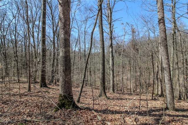 59915 Craig Rd, Cambridge, OH 43725 - photo 48