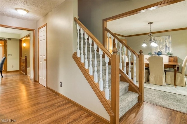 32906 Lisa Ln, Solon, OH 44139 - photo 21