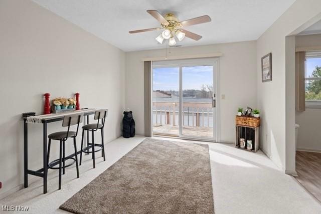 8231/2 Red Oak Trl, Mansfield, OH 44904 - photo 7
