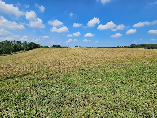 11583 Bower Rd, Minerva, OH 44657 - photo 18