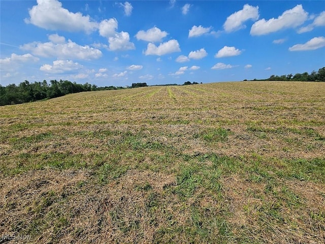 11583 Bower Rd, Minerva, OH 44657 - photo 19